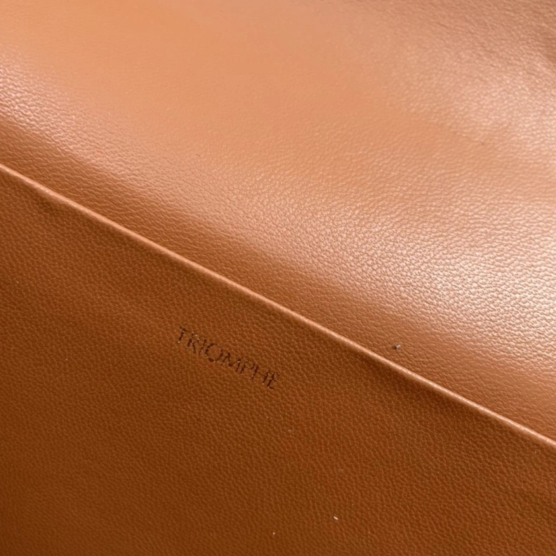 Cxlxne Satchel Bags Elegant 78320