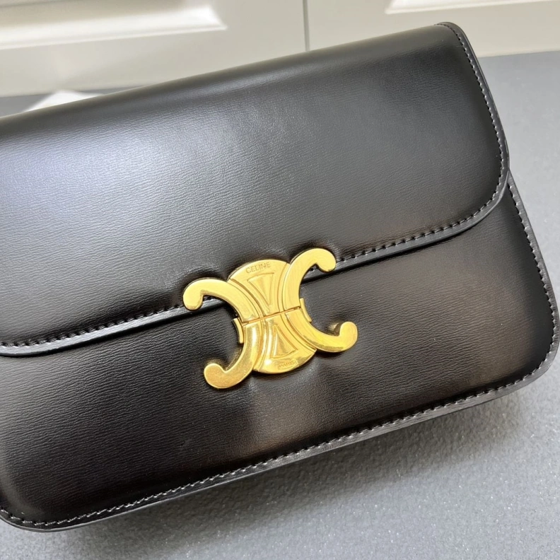 Cxlxne Satchel Bags AllSeason 78337
