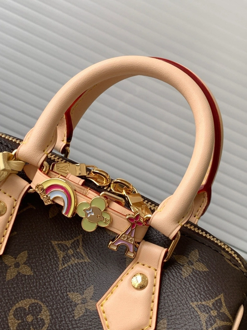 Minimalist LX Speedy Bags 17671