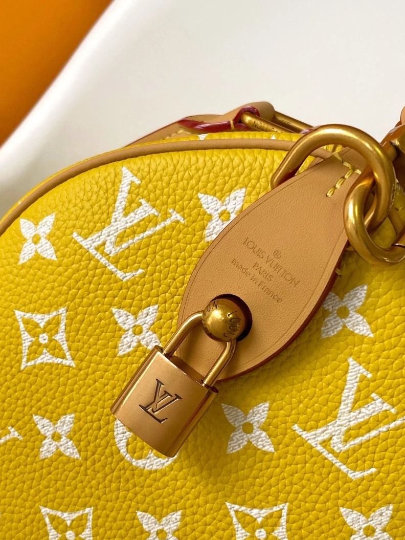 Unique LX Speedy Bags 17635