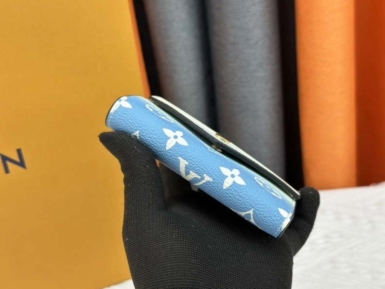 Trendy LX Wallets 23938