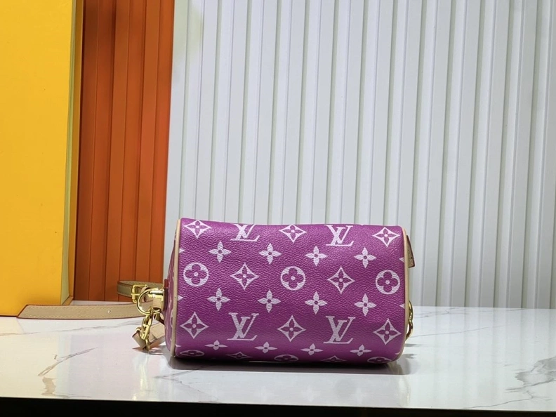 Modern LX Speedy Bags 24224