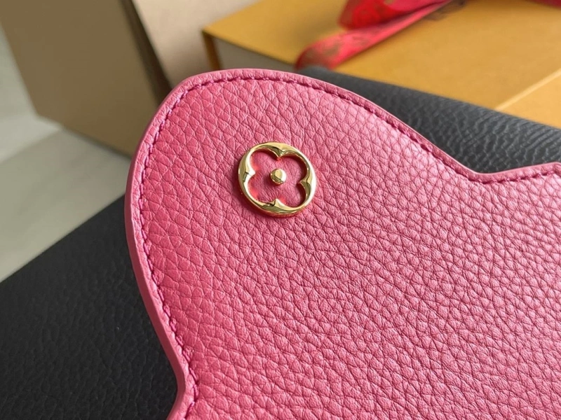 DailyWear LX Caxucines Bags 17023