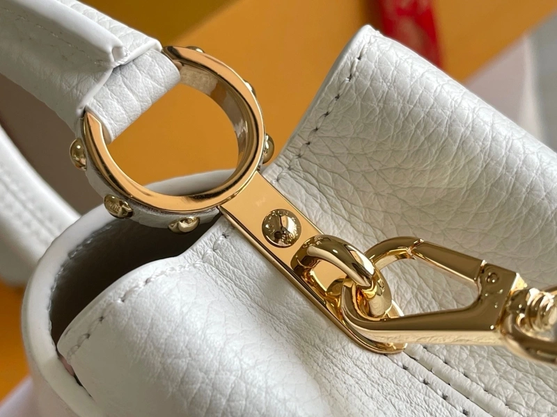 Fashionable LX Caxucines Bags 17016
