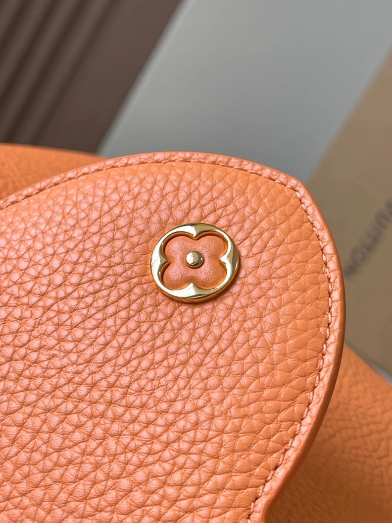 Popular LX Caxucines Bags 11791