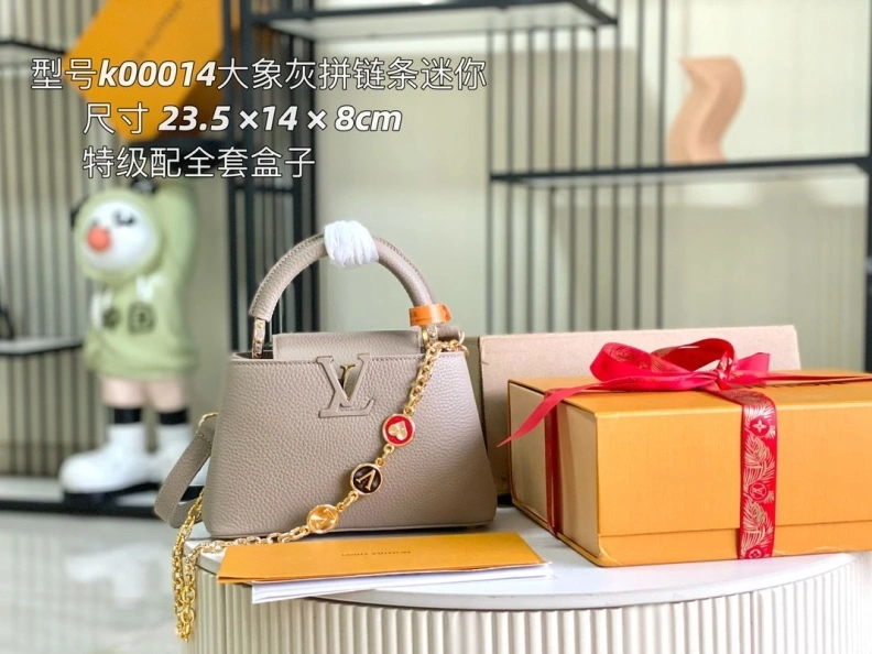 Functional LX Caxucines Bags 11785