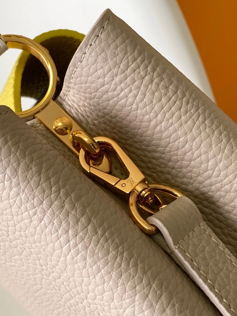 Trendsetting LX Caxucines Bags 11788