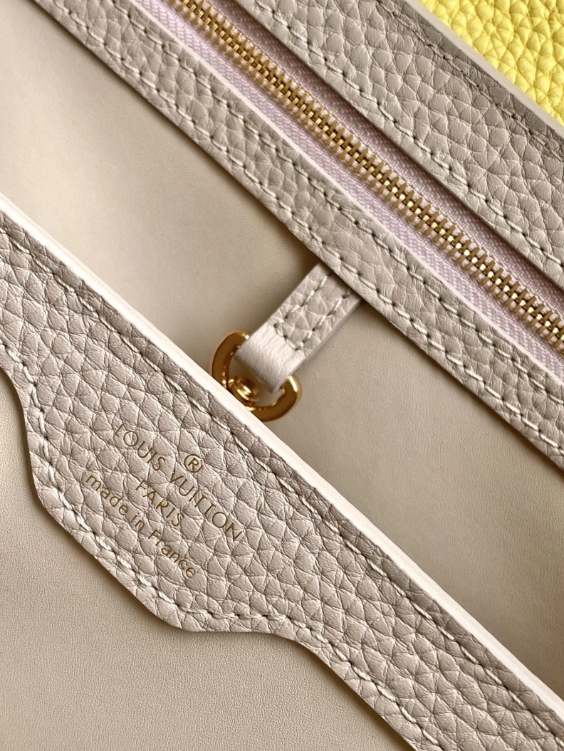 Trendsetting LX Caxucines Bags 11788