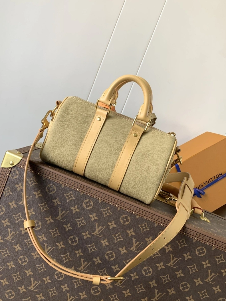 Sophisticated LX Speedy Bags 10852