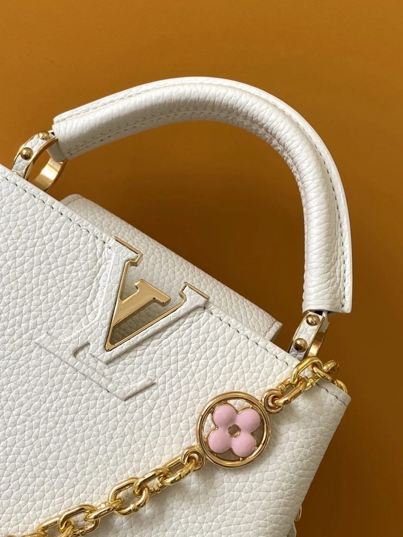 Fashionable LX Caxucines Bags 11736