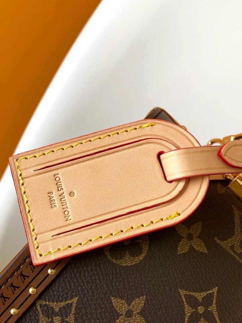 Stylish LX Speedy Bags 10819