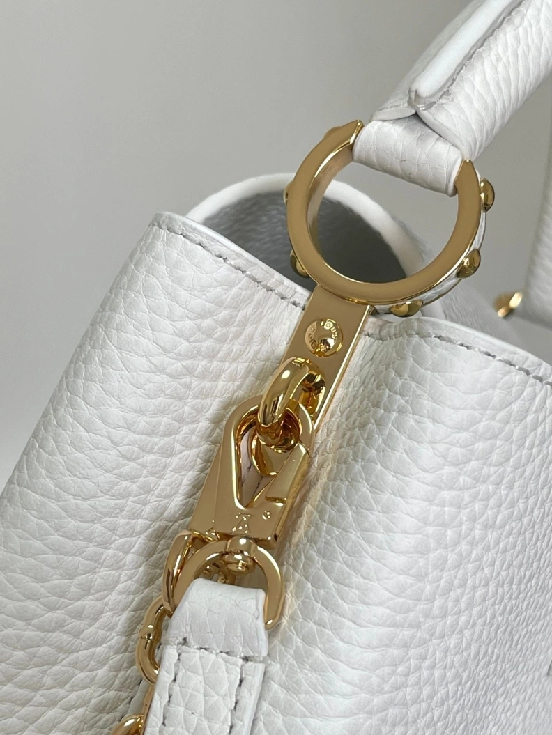 Trendsetting LX Caxucines Bags 11740