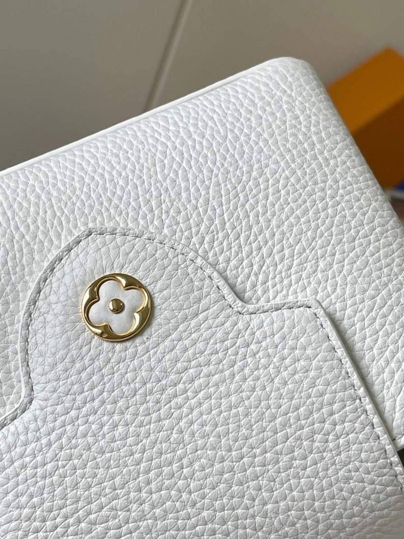 Trendsetting LX Caxucines Bags 11740
