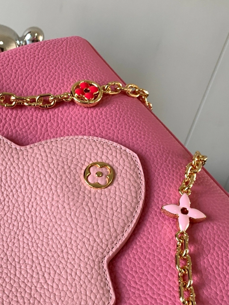 Sophisticated LX Caxucines Bags 11768