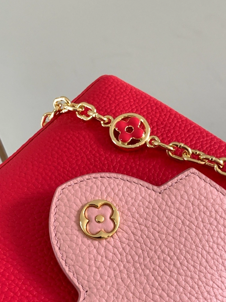 Elegant LX Caxucines Bags 11735
