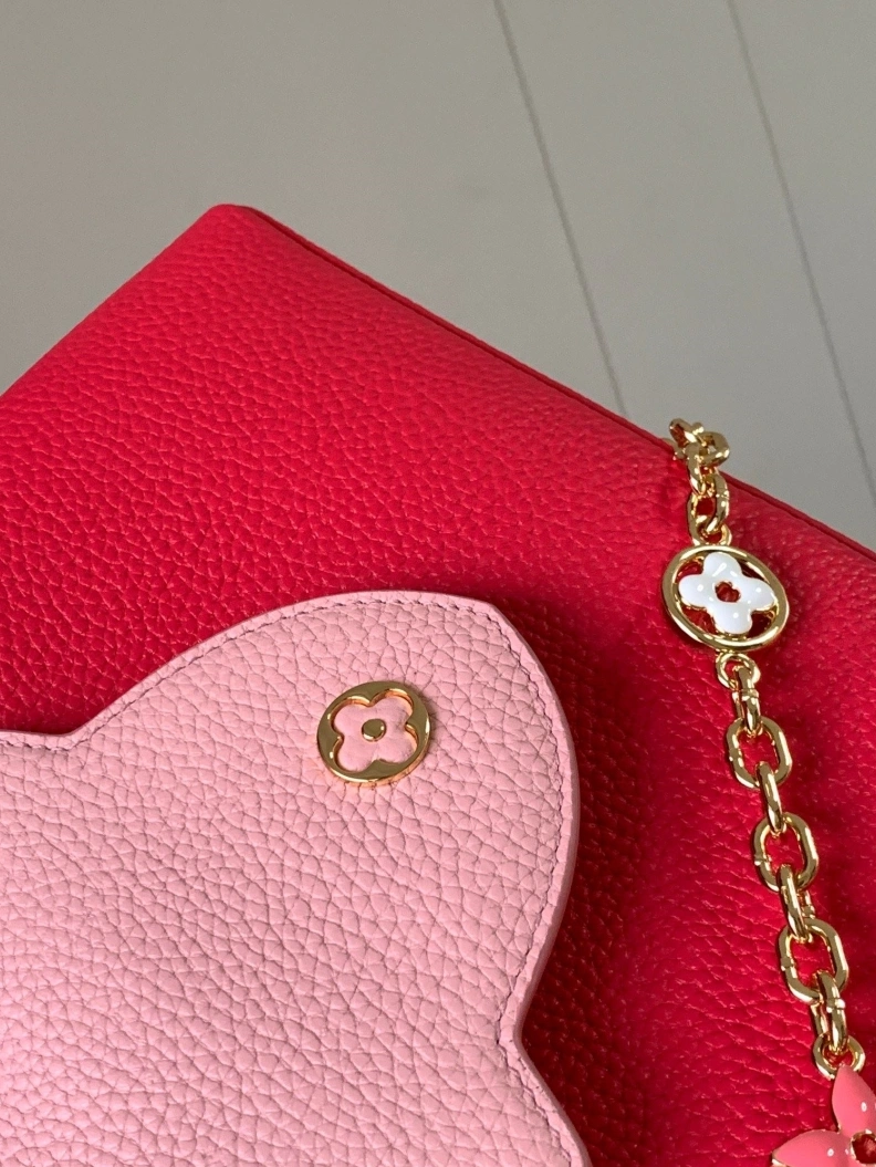 Unique LX Caxucines Bags 11767