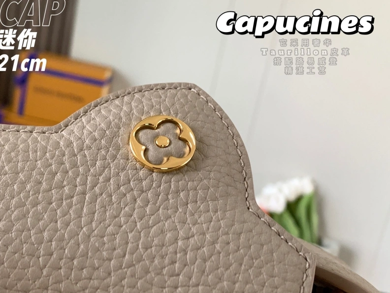 LX Caxucines Bags Sleek 11721