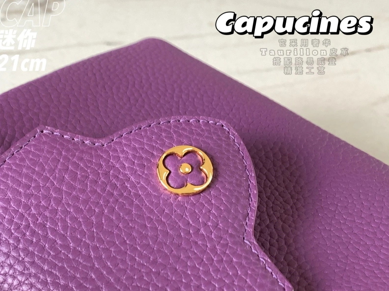 LX Caxucines Bags Minimalist 11708