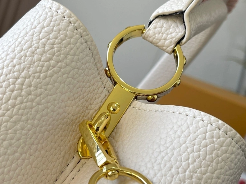 Fashionable LX Caxucines Bags 11654
