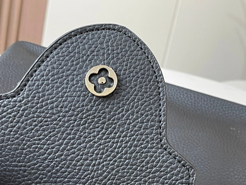 Compact LX Caxucines Bags 11647