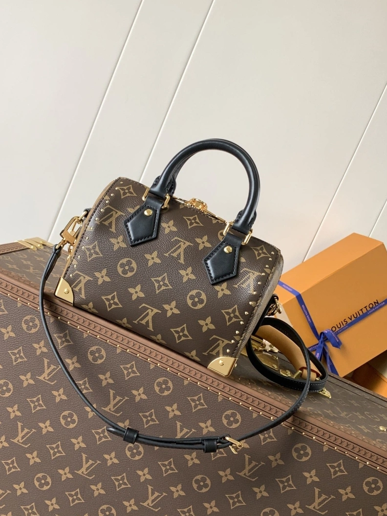 Affordable LX Speedy Bags 10768