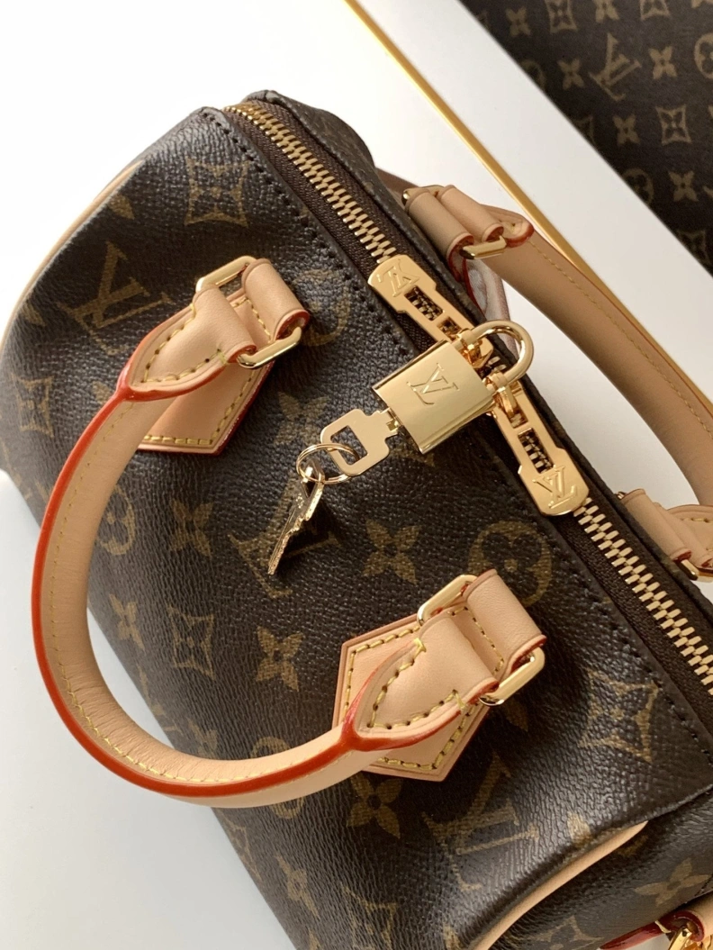 HighQuality LX Speedy Bags 10729