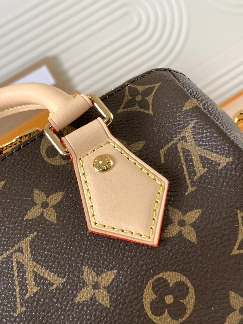 LX Speedy Bags Classic 10728