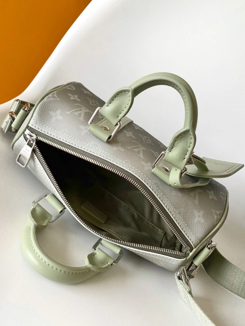 Modern LX Speedy Bags 8607