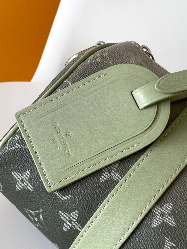 Modern LX Speedy Bags 8607