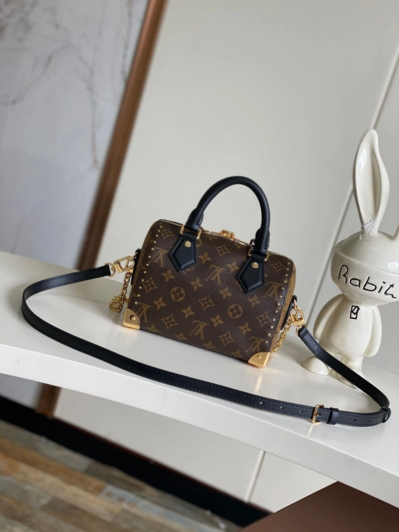 Modern LX Speedy Bags 8592