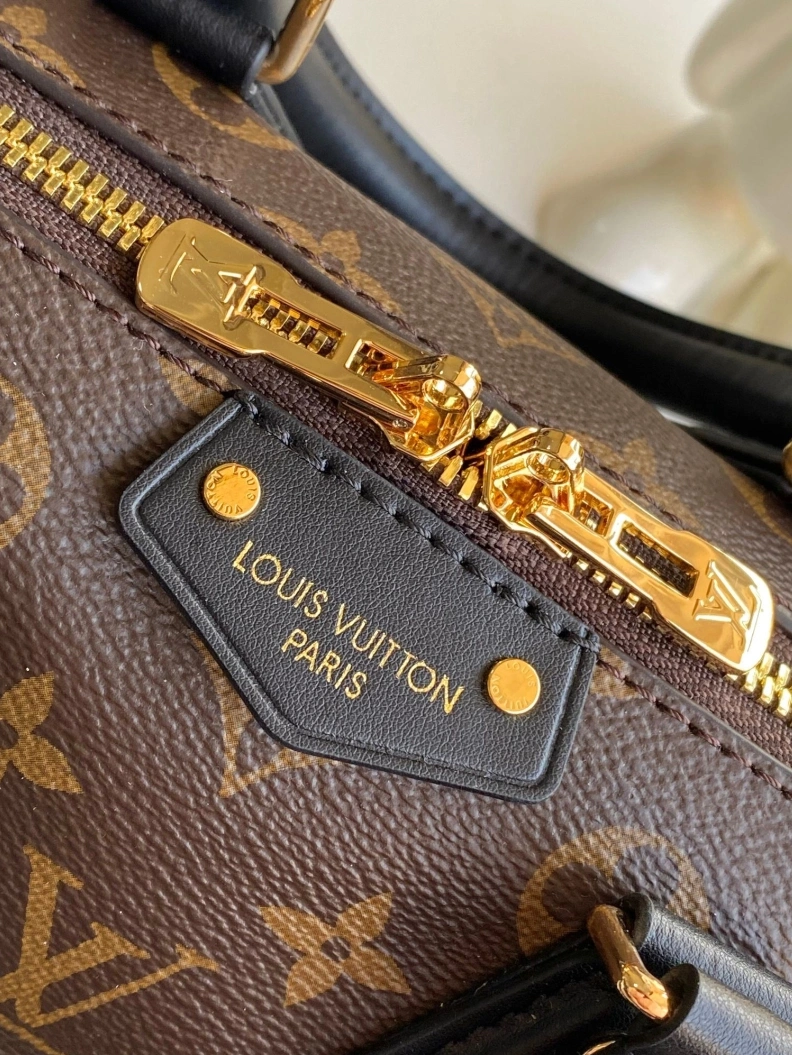 Modern LX Speedy Bags 8592