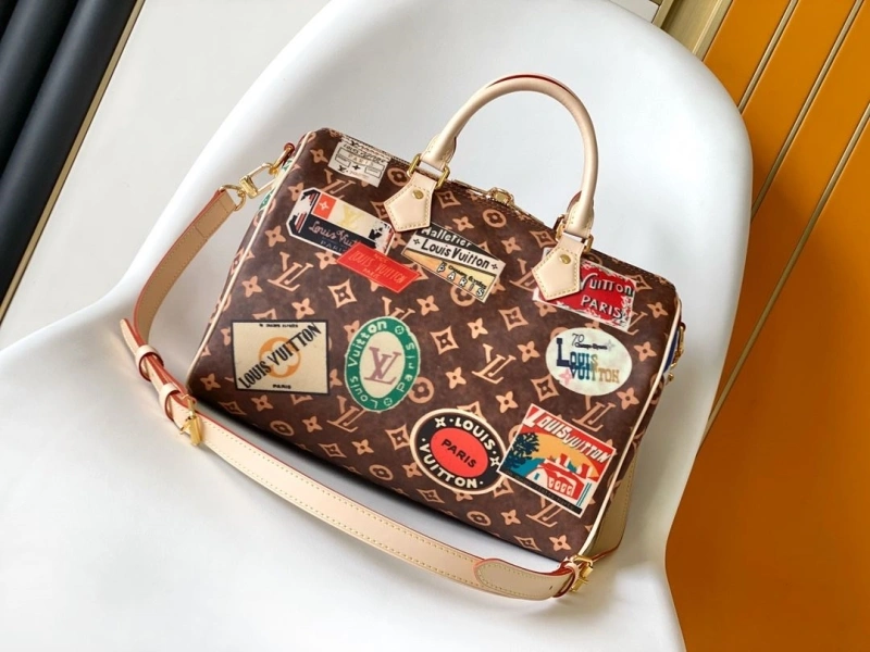 DailyWear LX Speedy Bags 14204