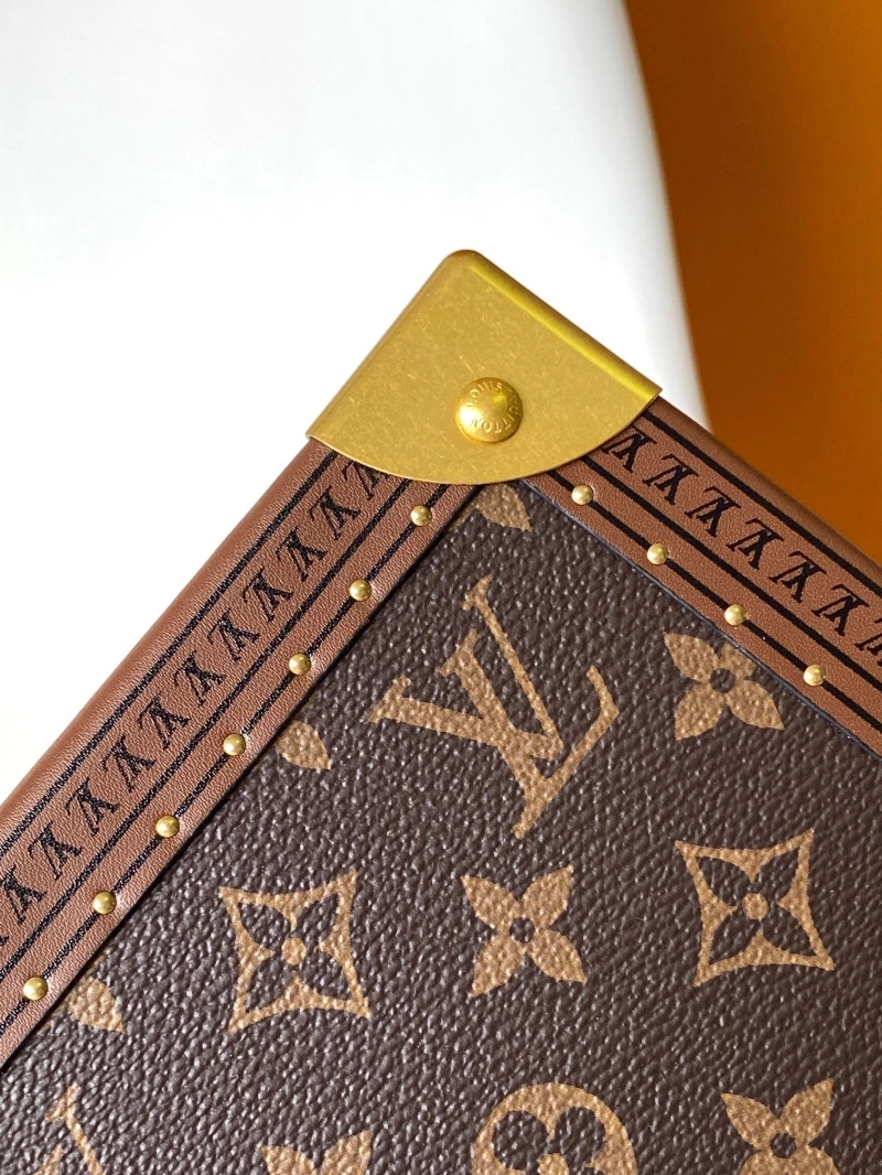 Trendsetting LX Box Bags 15662