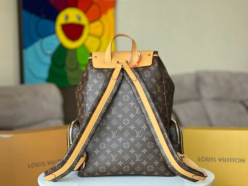 LX Backpacks TopPick 15784