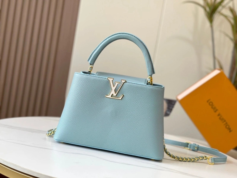 Trendsetting LX Caxucines Bags 15447