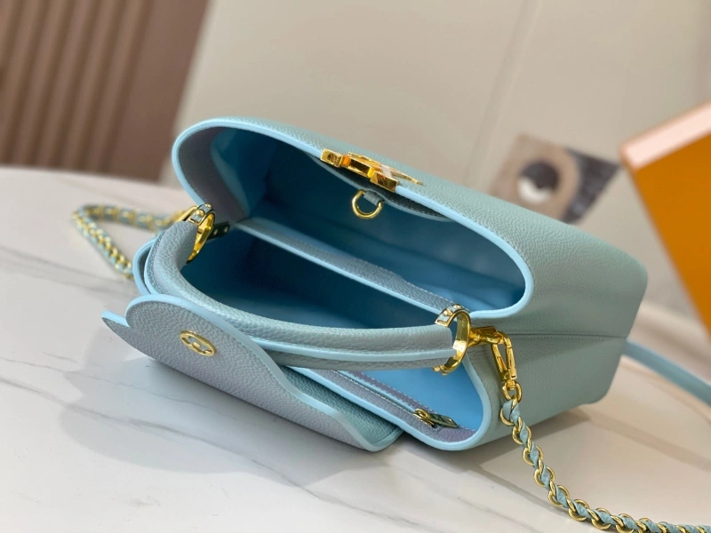Trendsetting LX Caxucines Bags 15447