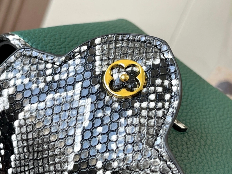 Comfortable LX Caxucines Bags 15388