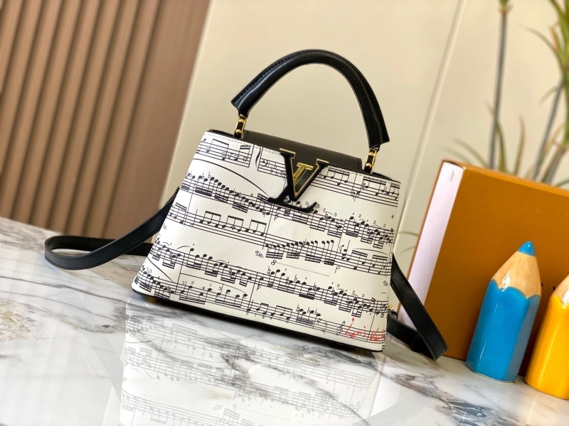 Fashionable LX Caxucines Bags 15401