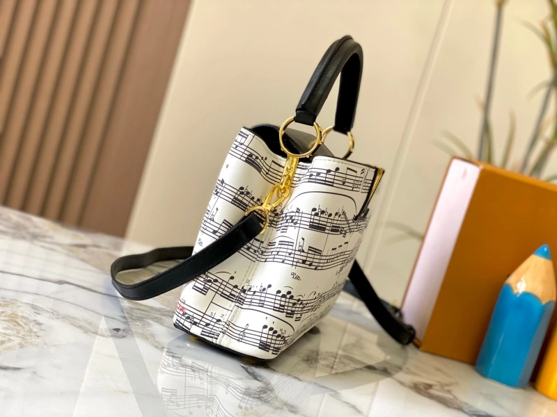 Fashionable LX Caxucines Bags 15401