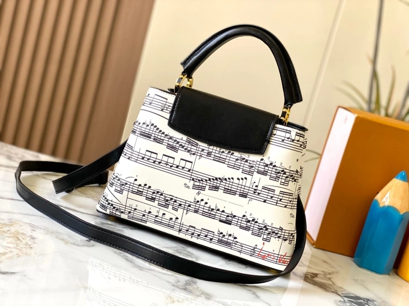 Fashionable LX Caxucines Bags 15401