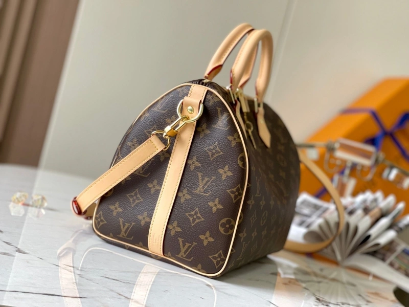 Minimalist LX Speedy Bags 14095