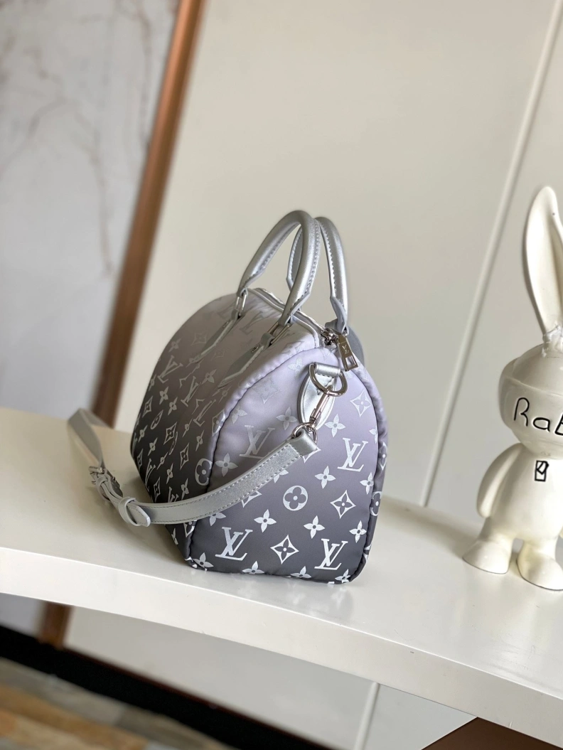 AllSeason LX Speedy Bags 23021