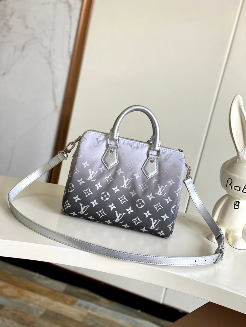 AllSeason LX Speedy Bags 23021