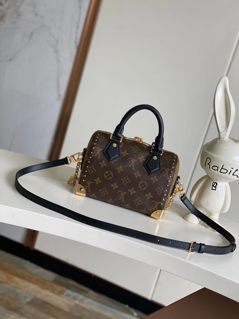 DailyWear LX Speedy Bags 23017