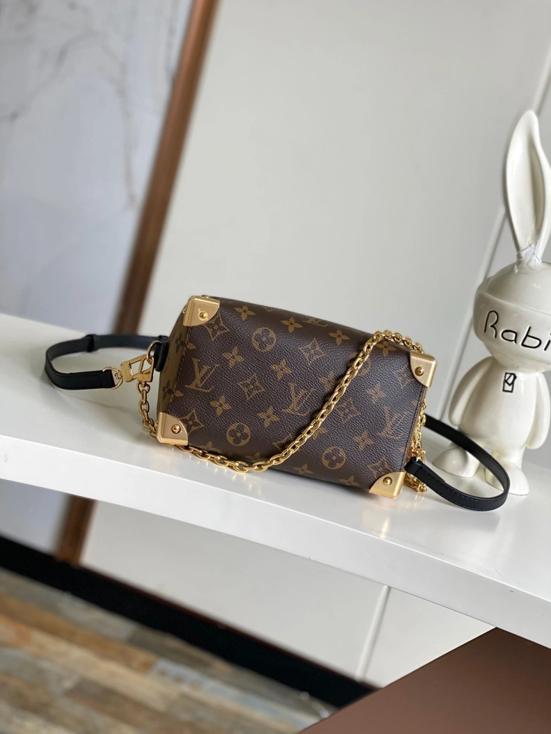 DailyWear LX Speedy Bags 23017