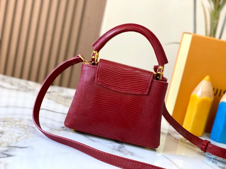 Stylish LX Caxucines Bags 23389