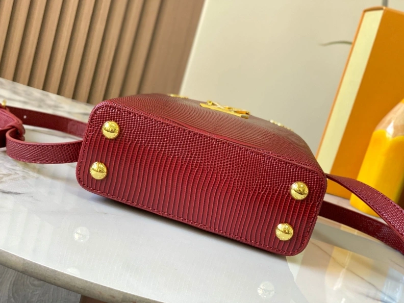 Stylish LX Caxucines Bags 23389