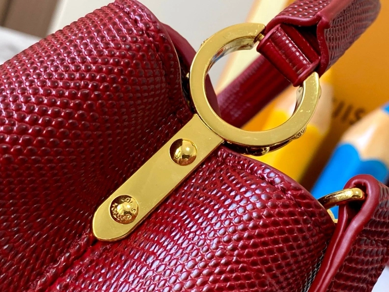 Stylish LX Caxucines Bags 23389