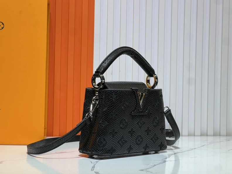 Fashionable LX Caxucines Bags 23352