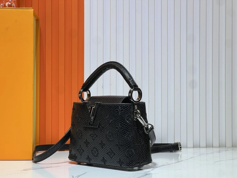 Fashionable LX Caxucines Bags 23352